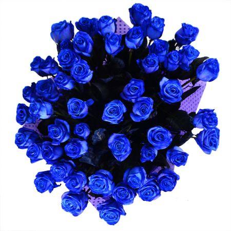 51 блакитна троянда