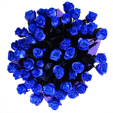 51 blue roses