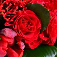 Букет квітів Червоний 
														