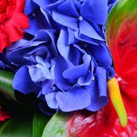 Букет цветов Александра Ирпень
														