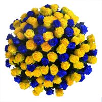 Букет 101 жовто-синя троянда