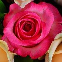 Букет з різнокольорових троянд Валенсія