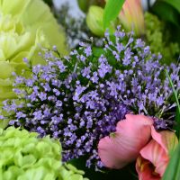 Bouquet of flowers Fresh Suriname
														