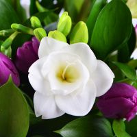 Bouquet of flowers Snowdrop
														