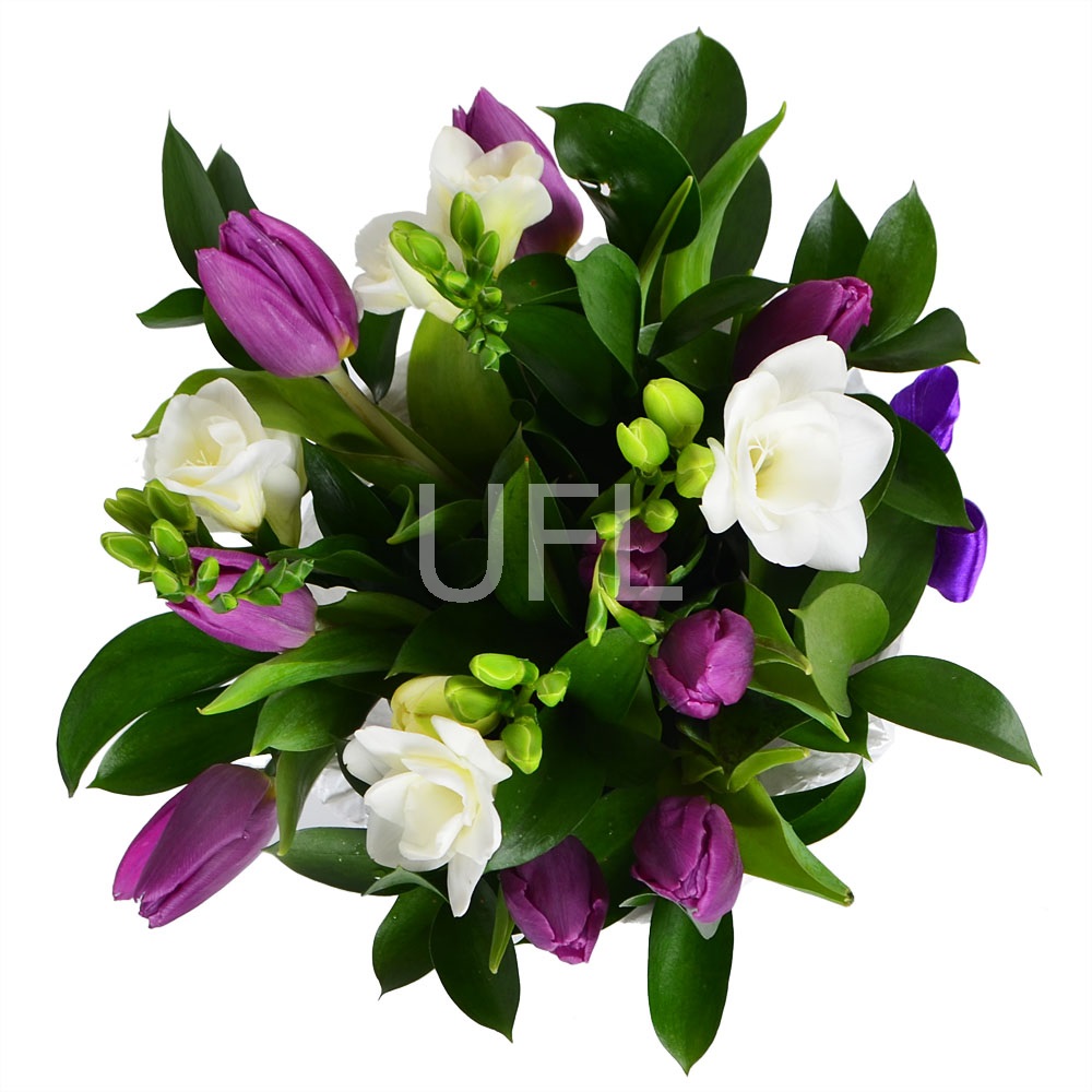 Bouquet of flowers Snowdrop
													