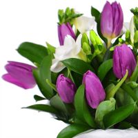 Bouquet of flowers Snowdrop Poltava
														