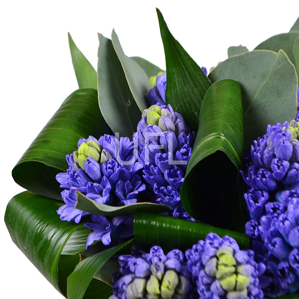 Bouquet with hyacinths Bouquet with hyacinths