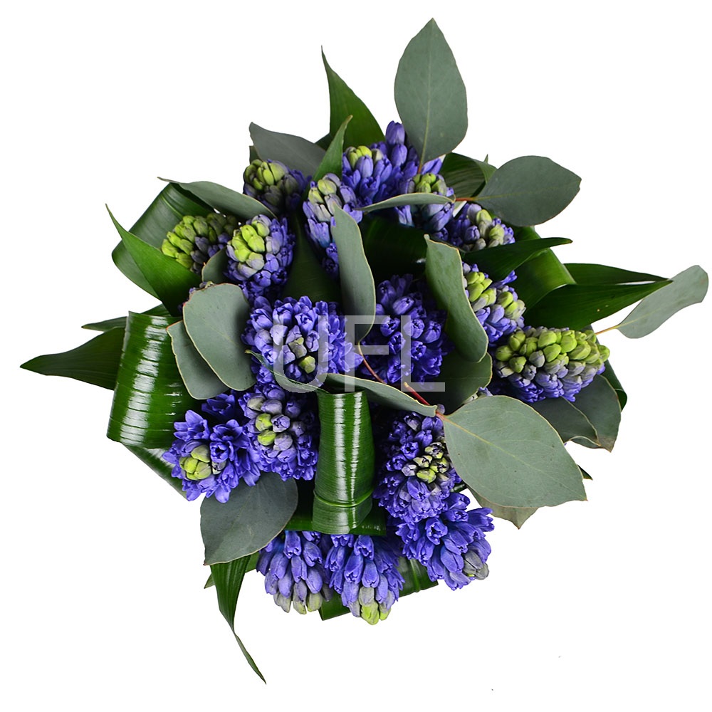 Bouquet with hyacinths