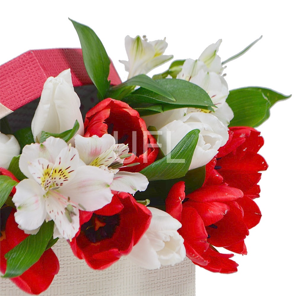  Bouquet Spring surprise
													