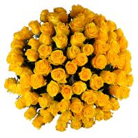Bouquet 101 yellow roses