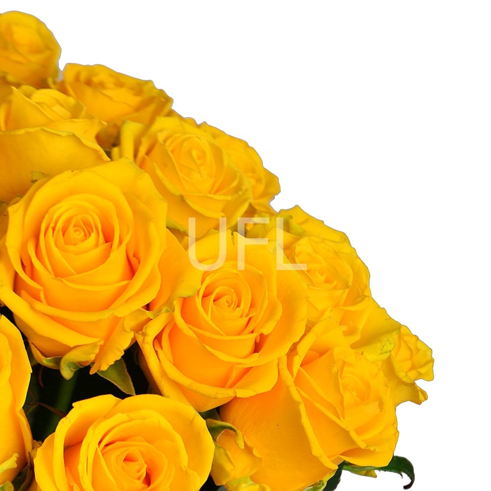 101 желтая роза