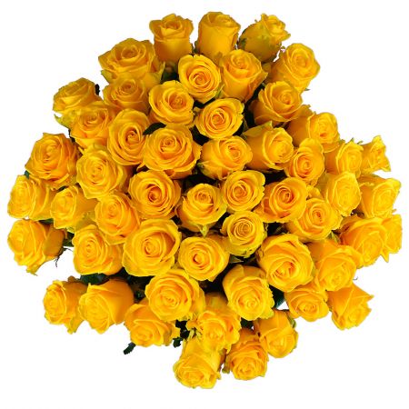51 жовта троянда