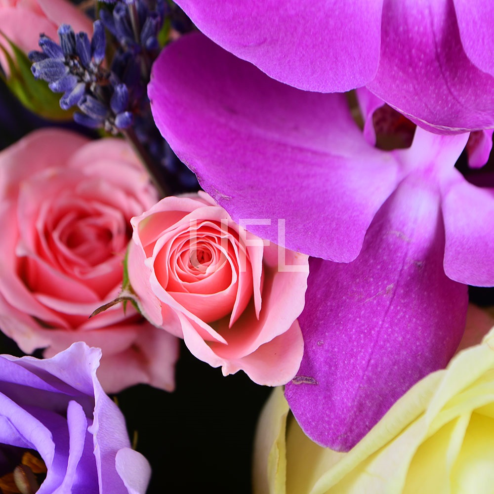 Bouquet of flowers Attractive
													