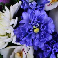  Bouquet Flower sheaf
														