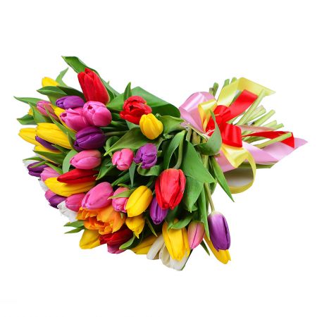  Bouquet 51 tulip
														