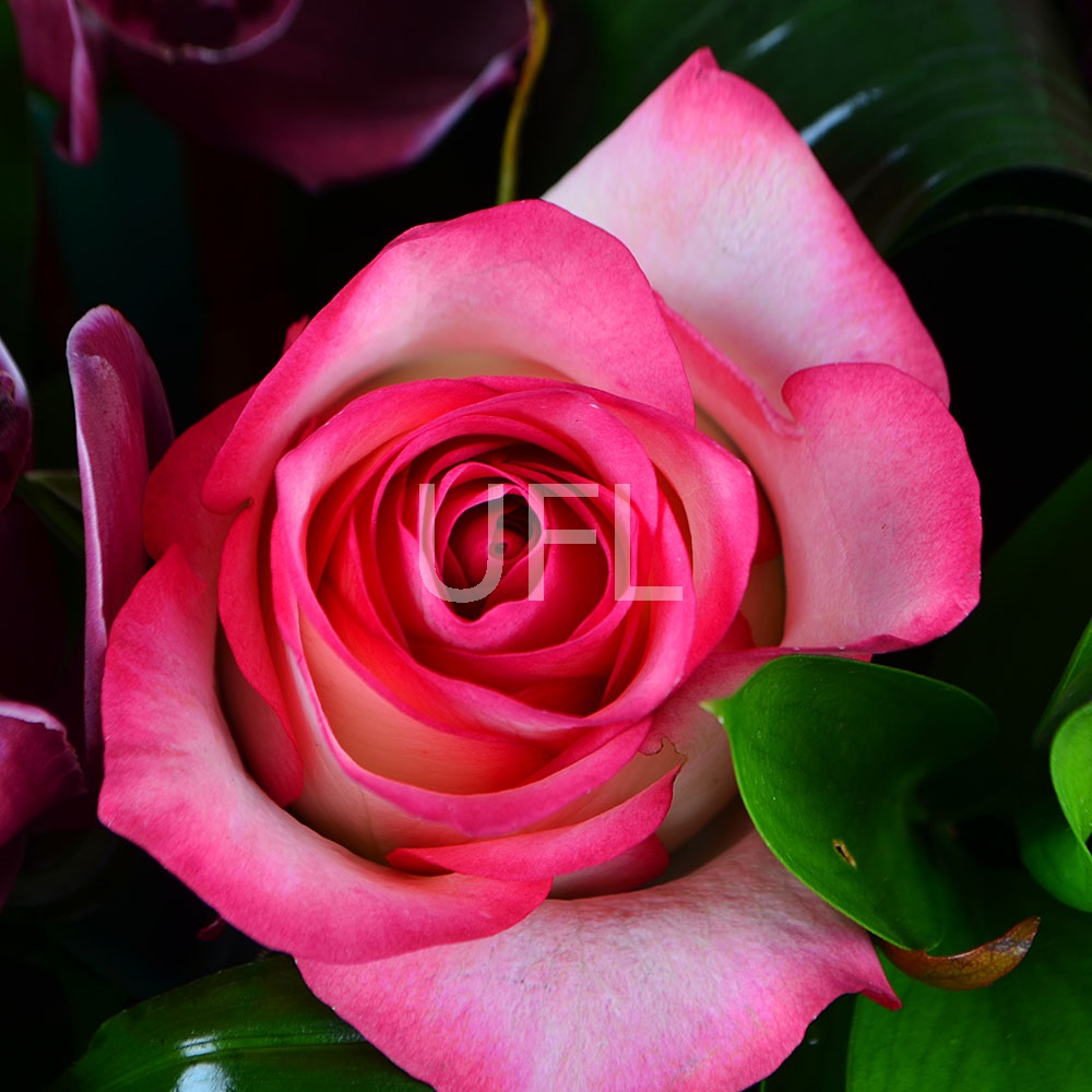 Bouquet of flowers Burgundy
													