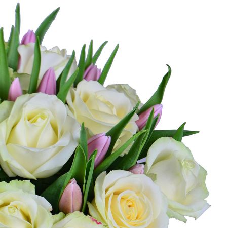 Белые розы и тюльпаны