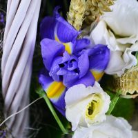 Summer basket of flowers