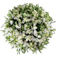  Bouquet 101 eustoma
														