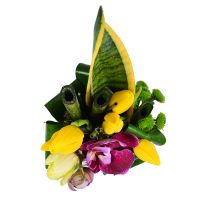  Bouquet Tropical basket
														