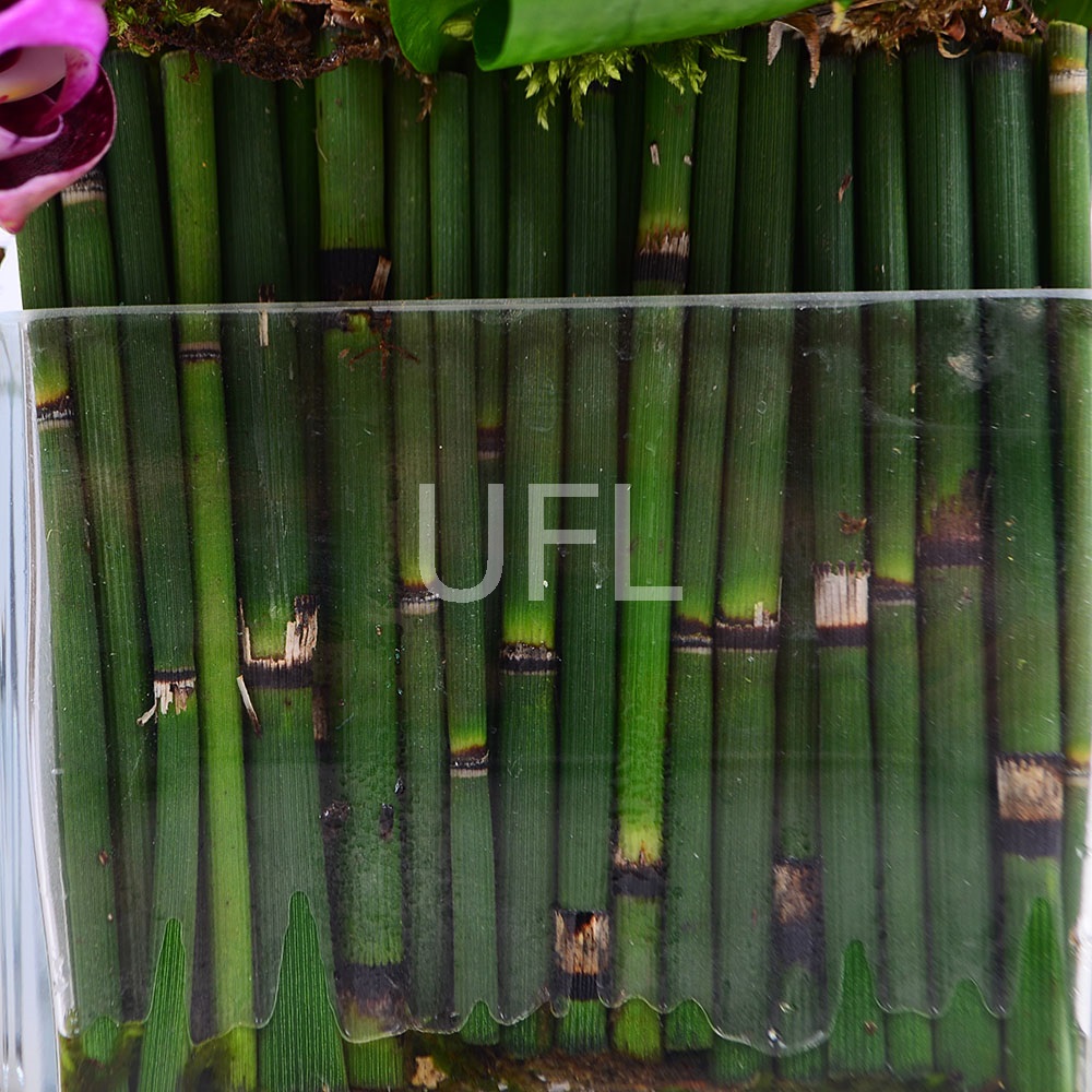  Bouquet Tropical basket
													