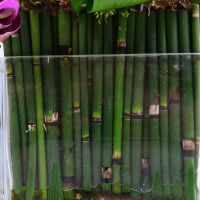  Bouquet Tropical basket Paris
														