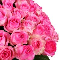 Букет 101 рожева троянда