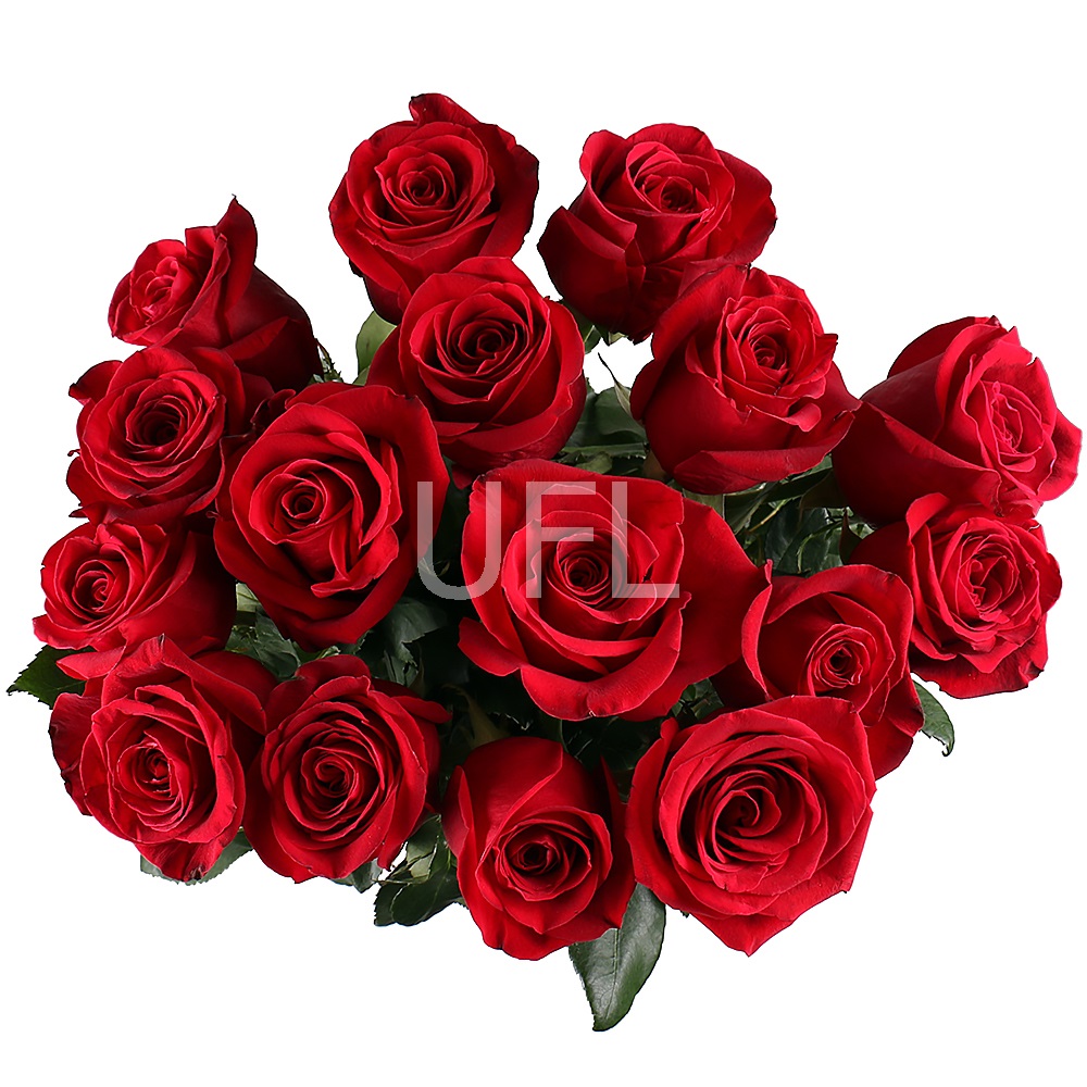 Bouquet of 15 roses (1 meter)