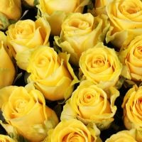 111 yellow roses Kiev