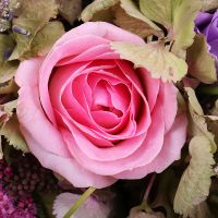  Bouquet Lavender-pink dawn Krivoy Rog
														