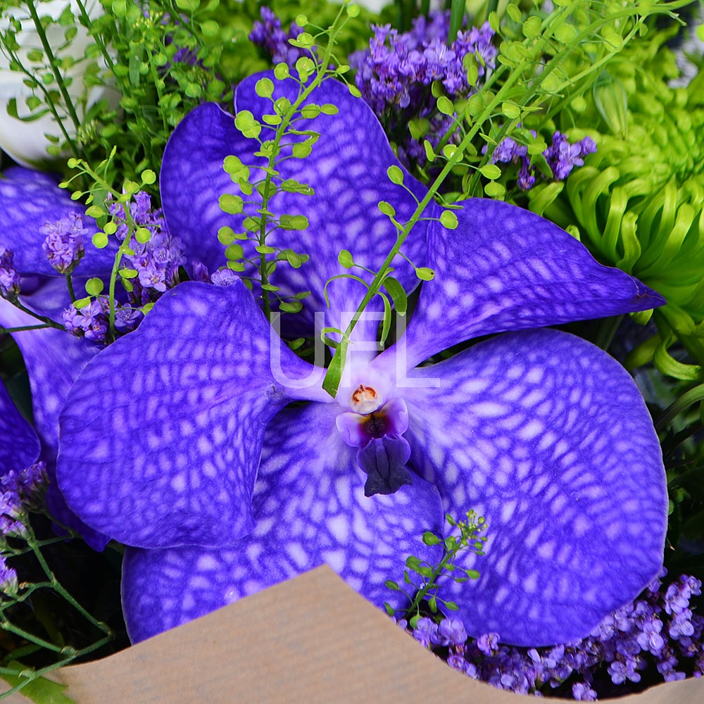 Bouquet of flowers Tricolored
													