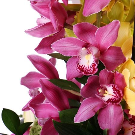  Букет Бал орхидей
														