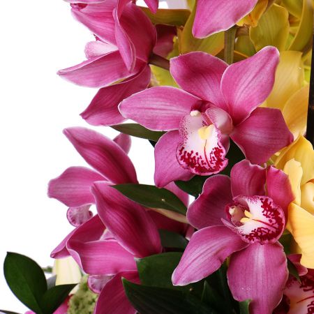  Bouquet Orchid dance
													