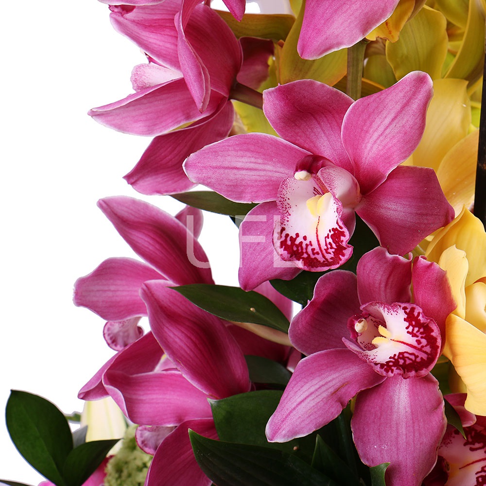  Букет Бал орхідей
													