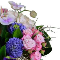 Bouquet of flowers Cerulean
														