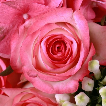 Букет цветов Молочно-розовый
													
