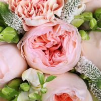  Bouquet Peach Chic Mogilev
														