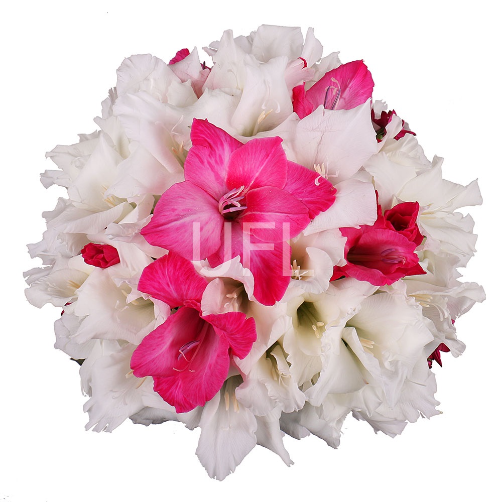 Bouquet of flowers Gladiolus
													