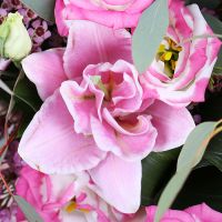  Bouquet Pink Lace
														