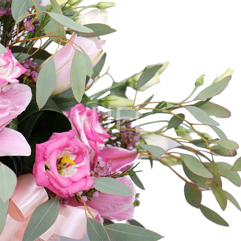  Bouquet Pink Lace
													