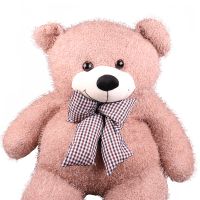 Stuffed Toy Panas Bear