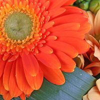 Mix Bouquet in Orange Tones