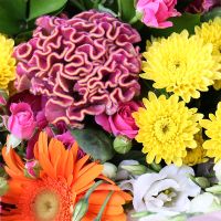 Bright Mix of 25 Flowers Khmelnitsky