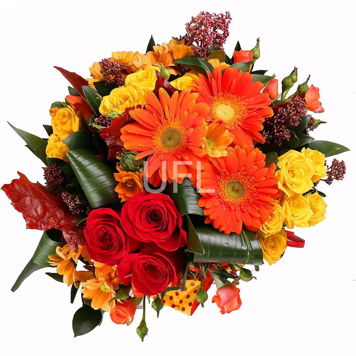 Bright Mix of 25 Flowers