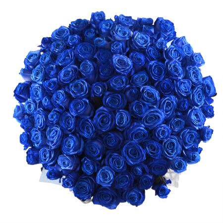 101 blue roses 101 blue roses