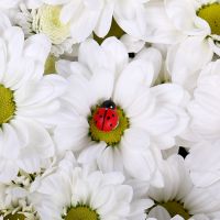  Bouquet Snow Heart
														