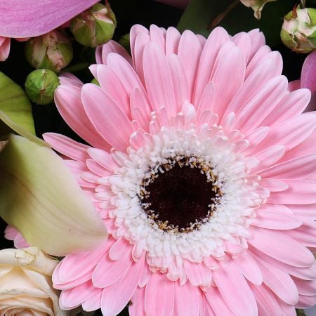 Funeral Wreath for Young Girl