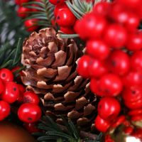 Composition - Christmas Tree Toy Kiev