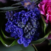 Bouquet of Purple Colors