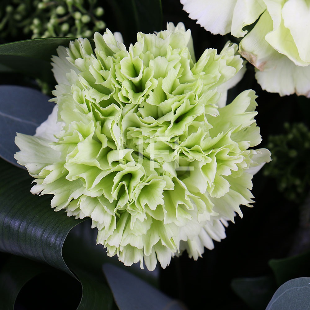 Mix of Flowers in Green Tones 0 грн
